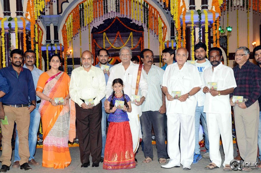 Dagudumutha-Dandakor-Movie-Audio-Launch